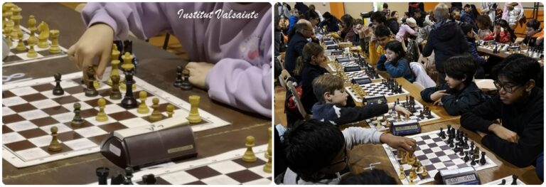 Lire la suite à propos de l’article Championnat départemental scolaire d’échecs
