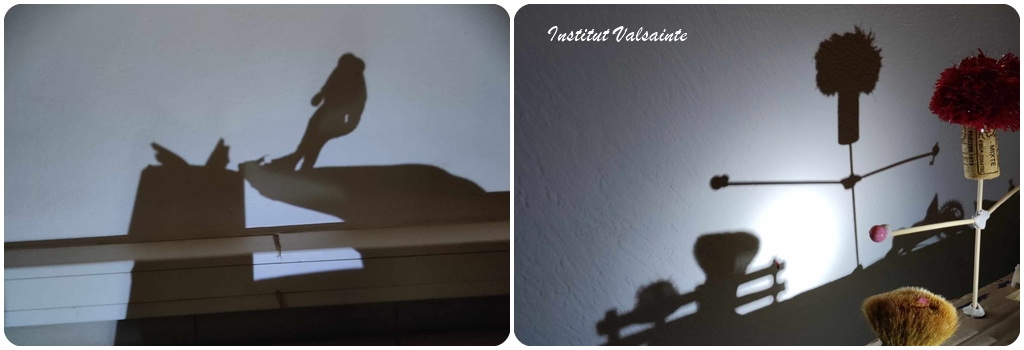 Lire la suite à propos de l’article Arts plastiques, travail d’ombres