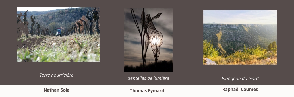 Lire la suite à propos de l’article Concours photos