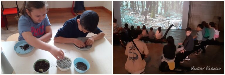 Lire la suite à propos de l’article Musée d’Histoire Naturelle