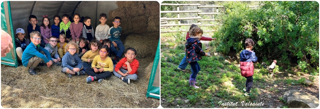 Lire la suite à propos de l’article Ferme Ecole, Maternelle